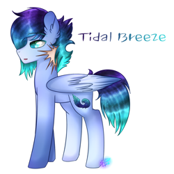 Size: 1024x1024 | Tagged: safe, artist:northlights8, oc, oc only, oc:tidal breeze, parent:rainbow dash, parent:soarin', parents:soarindash, species:pegasus, species:pony, male, offspring, simple background, solo, stallion, white background