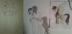 Size: 1024x493 | Tagged: safe, artist:anxiouslilnerd, oc, oc only, oc:camoflage cat, species:pegasus, species:pony, 2015, 2017, clothing, hoodie, old art, old art is old, redraw, shorts, traditional art