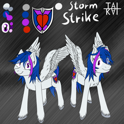 Size: 2000x2000 | Tagged: safe, artist:tai kai, oc, oc only, oc:storm strike, species:pegasus, species:pony, blue mane, digital art, female, male, mare, r63 paradox, reference sheet, rule 63, stallion, story in the source