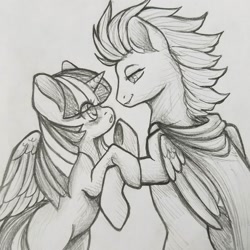 Size: 1512x1512 | Tagged: safe, artist:cabbage-arts, character:flash sentry, character:twilight sparkle, character:twilight sparkle (alicorn), species:alicorn, species:pegasus, species:pony, ship:flashlight, cape, clothing, couple, female, male, mare, monochrome, profile, shipping, stallion, straight, traditional art