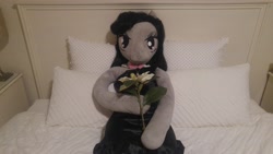Size: 5312x2988 | Tagged: safe, artist:bigsexyplush, artist:somethingaboutoctavia, character:octavia melody, species:anthro, anniversary, anthro plushie, bed, celebration, clothing, cute, doll, dress, flower, irl, jewelry, necklace, photo, plushie, toy