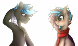 Size: 4834x2852 | Tagged: safe, artist:timkaa, oc, oc only, species:pegasus, species:pony, species:unicorn, blushing, clothing, dog tags, scarf