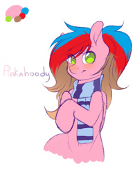 Size: 1280x1642 | Tagged: safe, artist:timkaa, oc, oc only, oc:pinkahoody, species:pegasus, species:pony, clothing, female, mare, scarf, solo