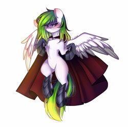 Size: 3000x3000 | Tagged: safe, artist:timkaa, oc, oc only, species:pegasus, species:pony, armor, cape, clothing, female, mare, solo, unconvincing armor