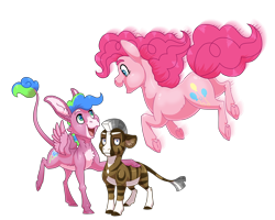Size: 2500x2000 | Tagged: safe, artist:jackiebloom, character:pinkie pie, oc, oc:disco inferno, oc:kinyume, parent:daring do, parent:pinkie pie, parent:zecora, parents:daringcora, species:earth pony, species:mule, species:pony, species:zony, blaze (coat marking), colt, female, filly, high res, hybrid, leonine tail, magical lesbian spawn, male, mare, offspring, pegamule, simple background, socks (coat marking), transparent background