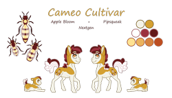 Size: 3496x2000 | Tagged: safe, artist:jackiebloom, oc, oc:cameo cultivar, parent:apple bloom, parent:pipsqueak, parents:pipbloom, species:pony, baby, baby pony, colt, high res, male, offspring, reference sheet, simple background, solo, transparent background