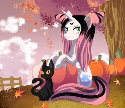Size: 1600x1378 | Tagged: safe, artist:spookyle, oc, oc:willow wisp, autumn, cat, pumpkin, solo