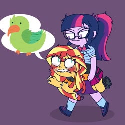 Size: 1378x1378 | Tagged: safe, artist:psychodiamondstar, character:sunset shimmer, character:twilight sparkle, character:twilight sparkle (scitwi), species:eqg human, ship:scitwishimmer, ship:sunsetsparkle, equestria girls:rollercoaster of friendship, g4, my little pony: equestria girls, my little pony:equestria girls, angry, female, it's not about the parakeet, lesbian, parakeet, shipping, unamused