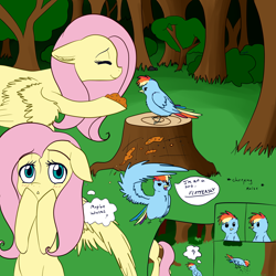 Size: 1500x1500 | Tagged: safe, artist:saphi-boo, character:fluttershy, character:rainbow dash, species:bird, species:pegasus, species:pony, behaving like a bird, bird feed, birdified, birds doing bird things, blushing, dialogue, feeding, female, floppy ears, forest, looking sideways, mare, species swap, speech bubble, thought bubble, tree stump