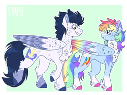 Size: 1024x768 | Tagged: safe, artist:wanderingpegasus, character:rainbow dash, character:soarin', species:pegasus, species:pony, ship:soarindash, alternate design, chest fluff, colored hooves, colored wings, female, looking at each other, male, mare, rainbow feathers, redesign, shipping, stallion, straight, unshorn fetlocks
