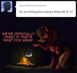 Size: 844x800 | Tagged: safe, artist:casynuf, oc, oc:pun, species:earth pony, species:pony, ask pun, ask, campfire, female, fire, implied oc, mare, photo