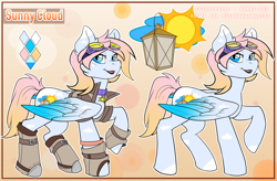 Size: 1833x1200 | Tagged: safe, artist:hakkids2, oc, oc only, oc:sunny cloud, species:pegasus, species:pony, clothing, goggles, markings, reference, reference sheet, solo