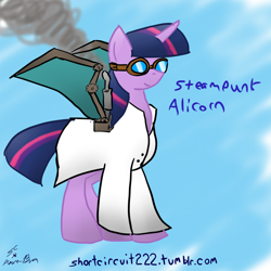 Size: 1000x1000 | Tagged: safe, artist:short circuit, character:twilight sparkle, 30 minute art challenge, steampunk
