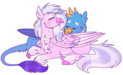 Size: 1290x791 | Tagged: safe, artist:wanderingpegasus, character:gallus, character:silverstream, species:classical hippogriff, species:griffon, species:hippogriff, ship:gallstream, birds doing bird things, cheek fluff, chest fluff, cute, diastreamies, eyes closed, female, gallabetes, male, preening, shipping, smiling, straight, talons, wing fluff