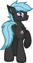Size: 435x820 | Tagged: safe, artist:zeka10000, oc, oc only, oc:saturn lightning, species:pony, butt, dock, ear fluff, full body, looking back, male, plot, request, requested art, ringbutt, simple background, smiling, solo, stallion, standing, transparent background