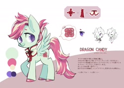 Size: 2048x1448 | Tagged: safe, artist:sibashen, oc, oc:dragon candy, species:pegasus, species:pony, japanese, purple eyes, reference sheet, smiling