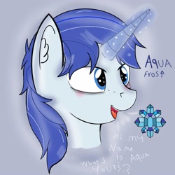 Size: 2500x2500 | Tagged: safe, artist:paperlover, oc, oc only, oc:aqua frost, species:pony, species:unicorn, blushing, bust, cutie mark, dialogue, ear fluff, female, magic, magic aura, mare, reference sheet, solo
