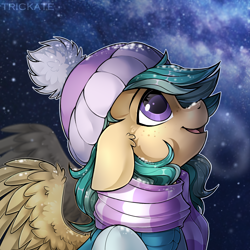 Size: 3000x3000 | Tagged: safe, artist:trickate, oc, oc only, oc:summer ray, species:pegasus, species:pony, beanie, clothing, hat, looking up, night, scarf, smiling, snow, solo, starry night, stars, winter