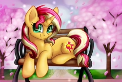 Size: 1280x865 | Tagged: safe, artist:gleamydreams, character:sunset shimmer, species:pony, species:unicorn, bench, cherry blossoms, cherry tree, cute, female, flower, flower blossom, mare, shimmerbetes, signature, solo, tree