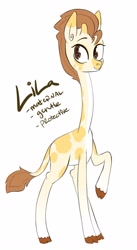 Size: 2738x5000 | Tagged: source needed, safe, artist:nomipolitan, oc, oc only, oc:lila, giraffe, reference sheet, simple background, solo, standing