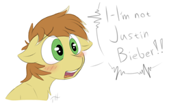 Size: 2438x1500 | Tagged: safe, artist:fakskis, character:feather bangs, species:earth pony, species:pony, 30 minute art challenge, blushing, chest fluff, cute, dialogue, floppy ears, justin bieber, male, open mouth, simple background, sketch, solo, stallion, text, white background