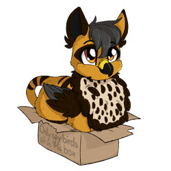 Size: 2000x2000 | Tagged: safe, artist:dreamy, artist:littledreamycat, oc, species:griffon, box, commission, cute, griffon oc, if i fits i sits, male, simple background, solo, transparent background, ych result