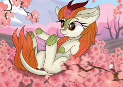 Size: 2560x1810 | Tagged: safe, artist:janelearts, character:autumn blaze, species:kirin, awwtumn blaze, cherry blossoms, cute, ear fluff, female, flower, flower blossom, glowing horn, horn, looking at something, on back, outdoors, reaching, sakura tree, smiling, solo, three quarter view