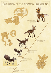 Size: 3000x4300 | Tagged: safe, artist:jackiebloom, species:changeling, species:pony, bee, disguise, disguised changeling, evolution, headcanon, honeycomb (structure), insect, larva, long description, monochrome, phylogenetic tree, scientific name