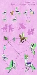 Size: 3000x6000 | Tagged: safe, artist:jackiebloom, character:fiddlesticks, species:changeling, species:mothpony, species:pony, absurd resolution, apple family member, biology, brown changeling, changeling larva, changeling queen, cocoon, female, grub, headcanon, life cycle, moth, original species, pink background, pupa, simple background, species swap, worldbuilding