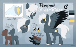 Size: 4000x2500 | Tagged: safe, artist:dreamy, artist:littledreamycat, oc, oc:tempest streamrider, species:pegasus, species:pony, commission, male, reference, reference sheet, stallion