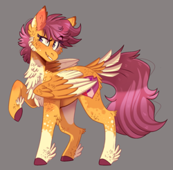 Size: 959x943 | Tagged: safe, artist:wanderingpegasus, character:scootaloo, species:pegasus, species:pony, cheek fluff, chest fluff, cutie mark, dappled, ear fluff, feathered fetlocks, female, fluffy, leg fluff, mare, socks (coat marking), solo, tail feathers, two toned wings, wings