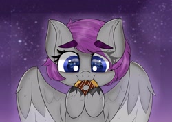 Size: 2560x1820 | Tagged: safe, artist:janelearts, oc, species:pegasus, species:pony, chibi, commission, donut, female, food, mare, nom, solo