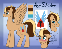 Size: 2500x2000 | Tagged: safe, artist:dreamy, artist:littledreamycat, oc, oc:ace strider, species:pegasus, species:pony, commission, reference sheet