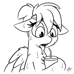 Size: 1750x1750 | Tagged: safe, artist:fakskis, character:rainbow dash, species:pegasus, species:pony, 30 minute art challenge, chest fluff, cup, drool, female, floppy ears, headband, mare, monochrome, ponytail, sketch, solo, straw, sweat, tongue out, wings