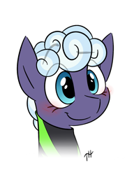 Size: 1127x1469 | Tagged: safe, artist:fakskis, character:rolling thunder, species:pegasus, species:pony, episode:the washouts, g4, my little pony: friendship is magic, blushing, bust, clothing, cute, eye clipping through hair, eyebrows, eyebrows visible through hair, female, mare, portrait, simple background, smiling, solo, white background