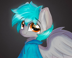 Size: 3588x2893 | Tagged: safe, artist:janelearts, oc, species:pegasus, species:pony, bust, clothing, hoodie, male, portrait, solo, stallion