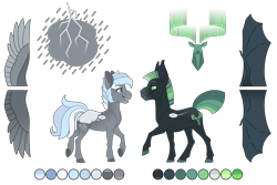 Size: 4500x3000 | Tagged: safe, artist:jackiebloom, oc, oc only, oc:lightning strike, oc:northern skies, species:bat pony, species:pegasus, species:pony, bat pony oc, bat wings, high res, male, simple background, stallion, transparent background, wings