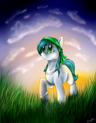 Size: 1376x1768 | Tagged: safe, artist:intfighter, oc, oc only, species:earth pony, species:pony, g4, cloud, earth pony oc, grass, jewelry, necklace, outdoors, pearl necklace, signature, solo
