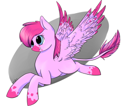 Size: 1600x1400 | Tagged: safe, artist:intfighter, oc, oc only, species:pegasus, species:pony, g4, colored hooves, leonine tail, pegasus oc, simple background, solo, transparent background, wings