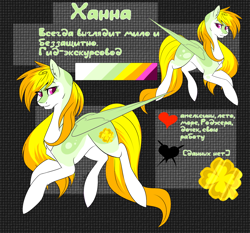 Size: 1500x1400 | Tagged: safe, artist:intfighter, oc, oc only, species:pegasus, species:pony, g4, cyrillic, duo, heart, pegasus oc, reference sheet, russian, text, wings