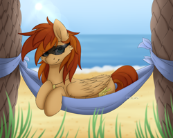 Size: 2500x2000 | Tagged: safe, artist:dreamy, artist:littledreamycat, oc, oc only, oc:thunder twirl, species:pegasus, species:pony, g4, beach, female, grass, hammock, lens flare, looking at you, mare, palm tree, solo, sun, sunglasses, sunny day, tree