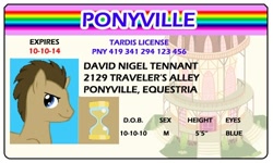 Size: 500x300 | Tagged: safe, artist:doctorxfizzle, character:doctor whooves, character:time turner, david tennant, full name, license