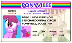 Size: 500x300 | Tagged: safe, artist:doctorxfizzle, character:berry punch, character:berryshine, full name, license
