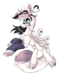 Size: 1506x1931 | Tagged: safe, artist:intfighter, oc, oc only, species:pegasus, species:pony, g4, grin, leg warmers, pegasus oc, simple background, smiling, solo, transparent background, unshorn fetlocks, wings
