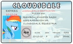 Size: 500x300 | Tagged: safe, artist:doctorxfizzle, character:rainbow dash, full name, license, younger