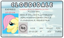 Size: 500x300 | Tagged: safe, artist:doctorxfizzle, character:fluttershy, full name, last name basis, license, younger