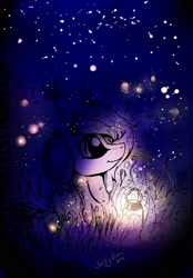 Size: 1507x2160 | Tagged: safe, artist:intfighter, oc, oc only, species:pony, g4, firefly, grass, insect, lantern, looking up, night, outdoors, smiling, solo, stars, traditional art