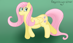 Size: 2500x1500 | Tagged: safe, artist:regxy, character:fluttershy, chubby