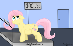 Size: 4000x2500 | Tagged: safe, artist:regxy, character:fluttershy, chubby, fat, fattershy, scale