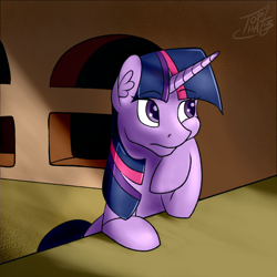 Size: 894x894 | Tagged: safe, artist:tlatophat, character:twilight sparkle, female, solo